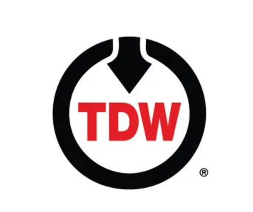 TD Williamson logo